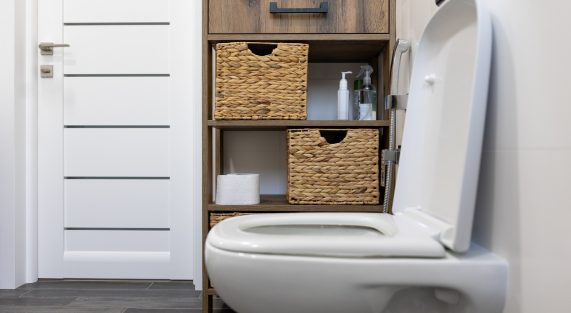 toilet-interior-minimalistic-bathroom